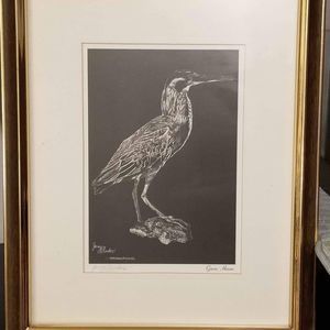 ~Green Heron~ Jamy Rooker - Data Prints Co. 1968